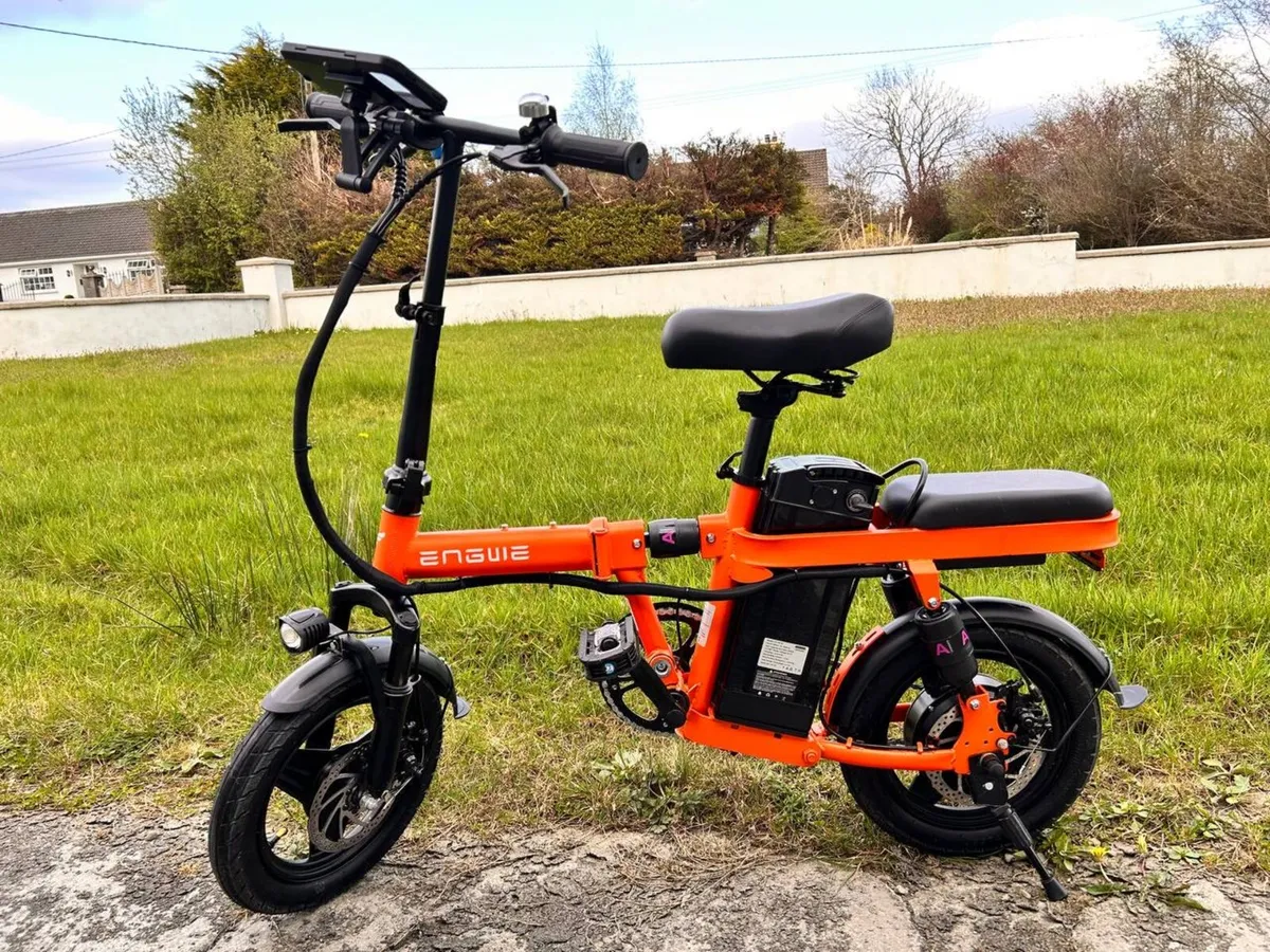 Folding Electric Bike - Image 1