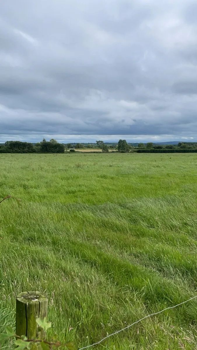 Silage Ground to let