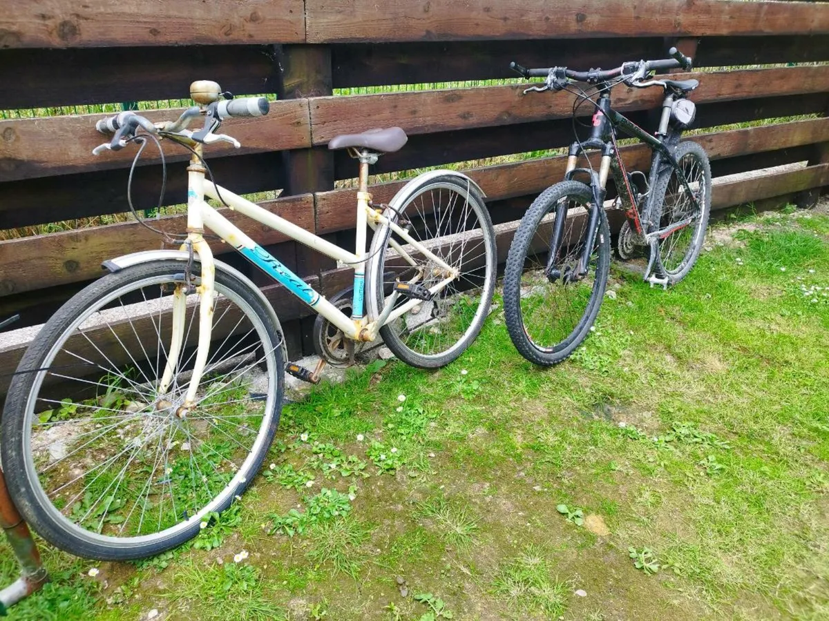 Bicycle - Image 1