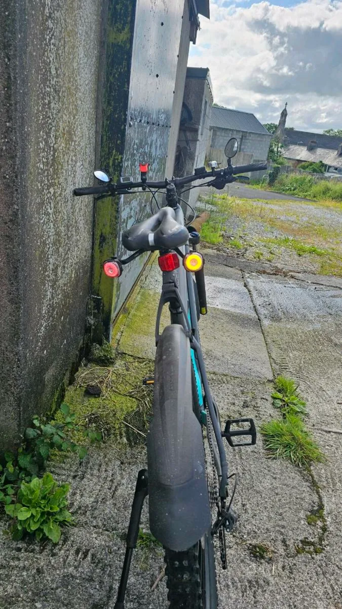 Trek Powerfly 4 - Image 2