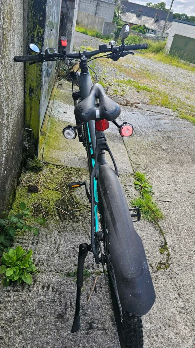 Trek Powerfly 4 - Image 3