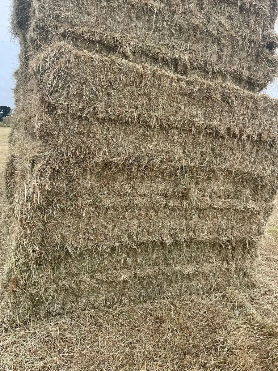Wexford hay - Image 1