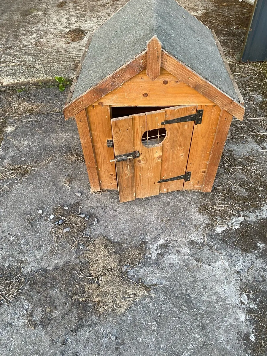 Dog Kennel - Image 1