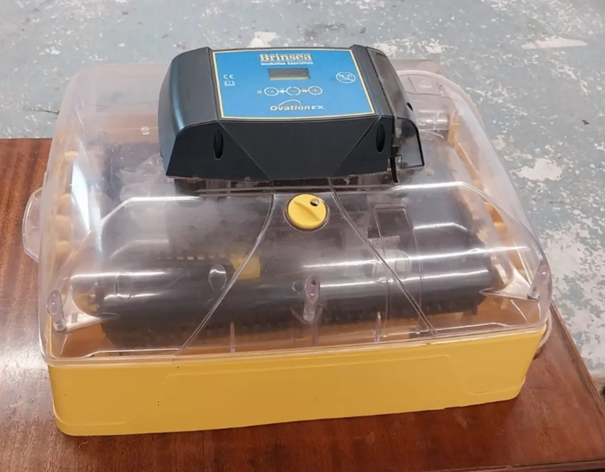 Incubator - Image 1