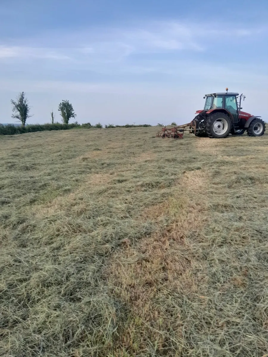 Hay - Image 1
