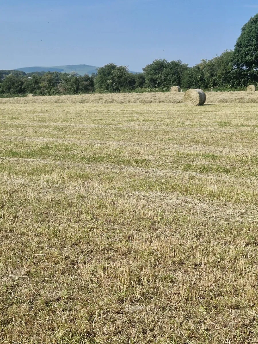 Hay bales 4x4 - Image 3