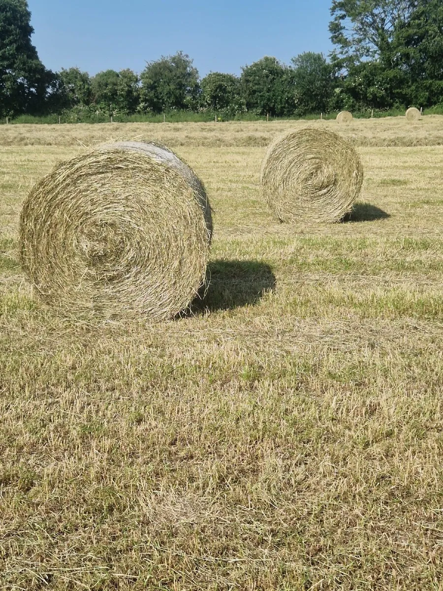 Hay bales 4x4 - Image 2