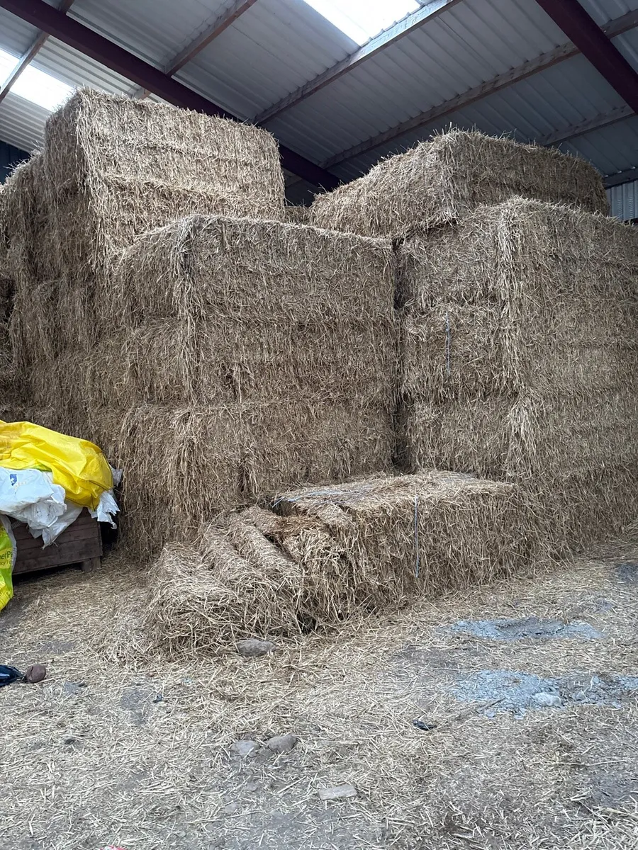 Wheat straw - Image 1