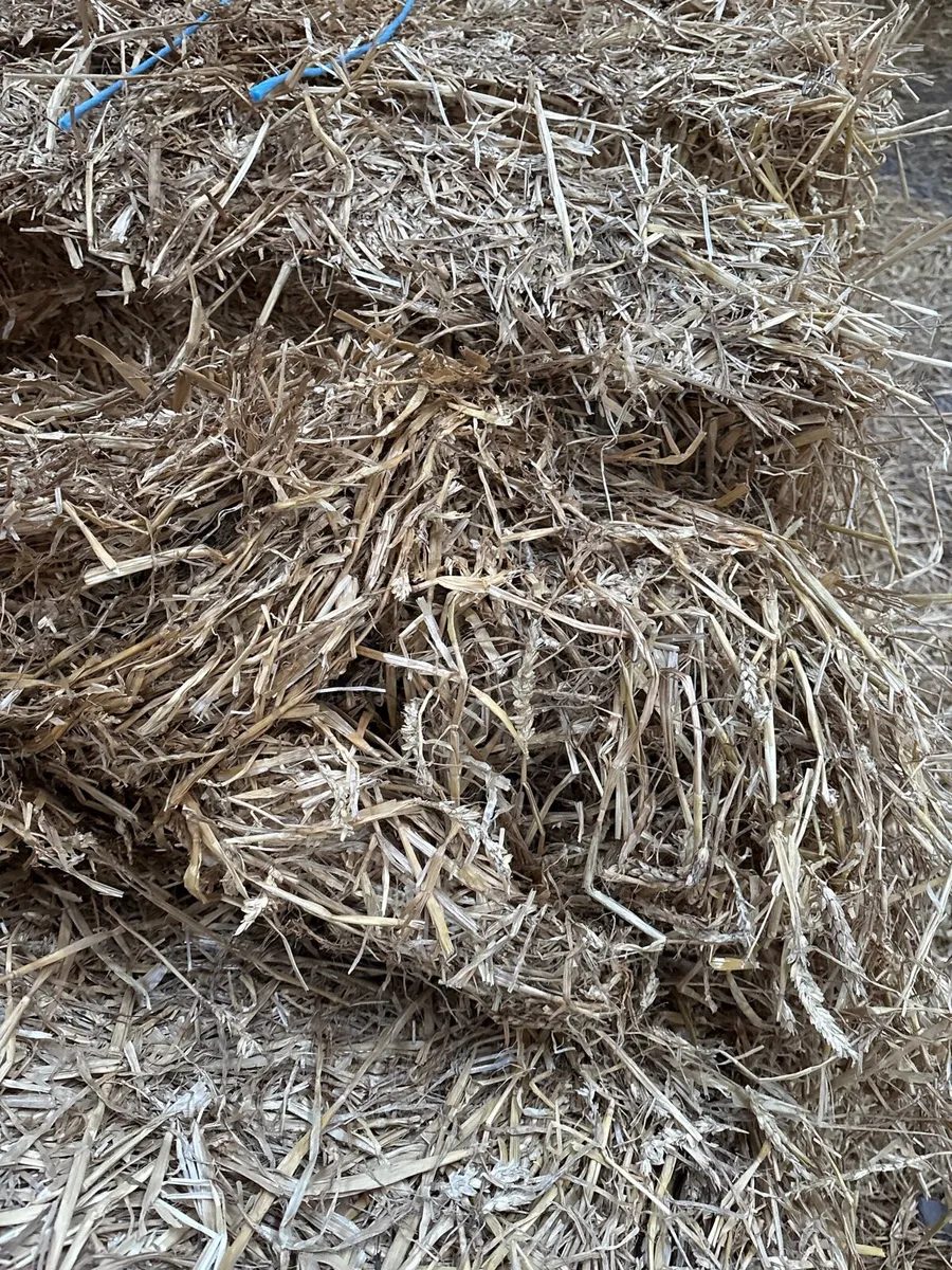 Wheat straw - Image 2