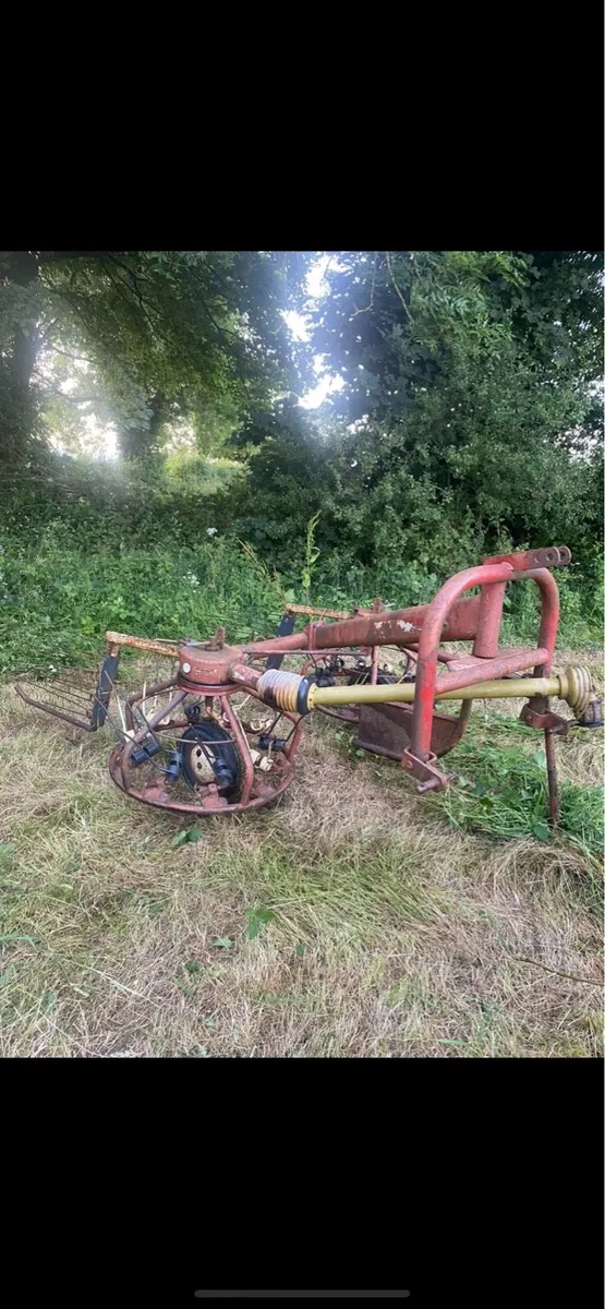 PZ Haybob - Image 2