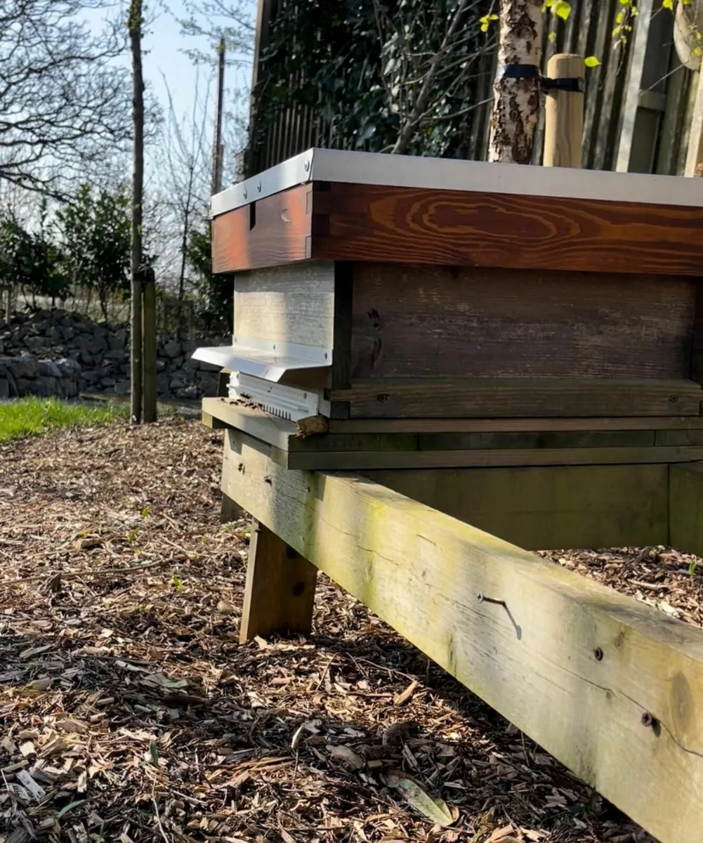 National Honey Bee Hives