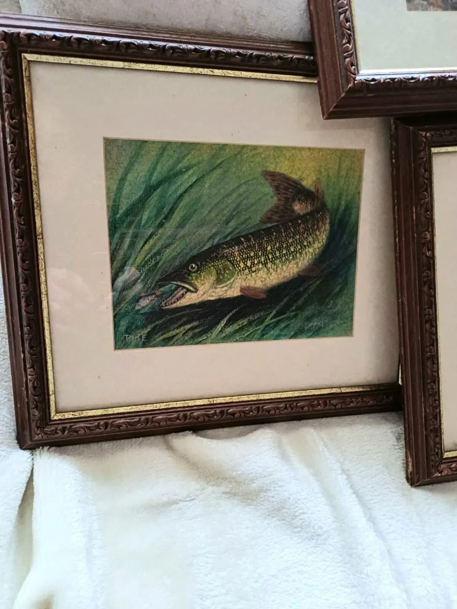Collectible Fish & Wildlife Pictures - Image 3