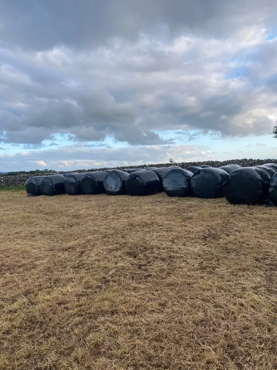 Haylage - Image 2