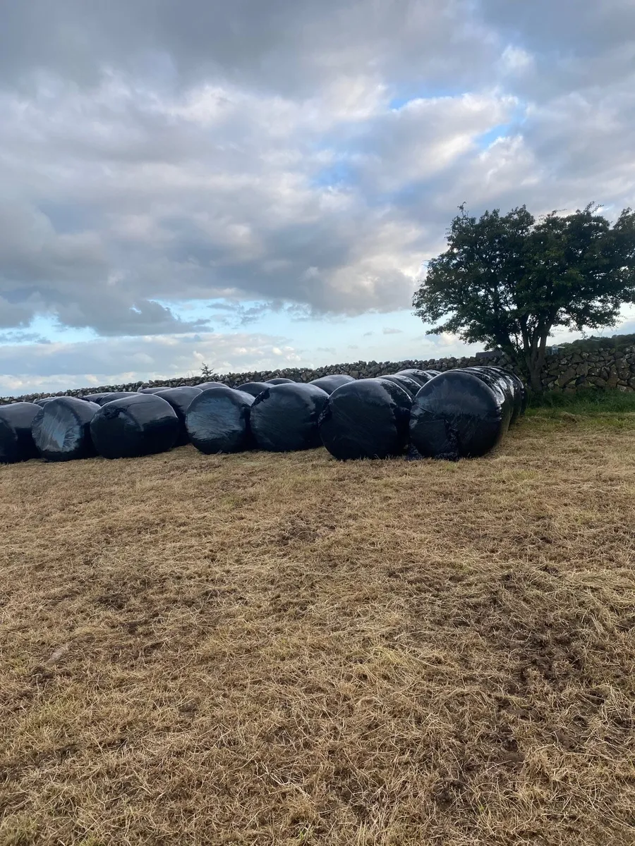 Haylage - Image 3