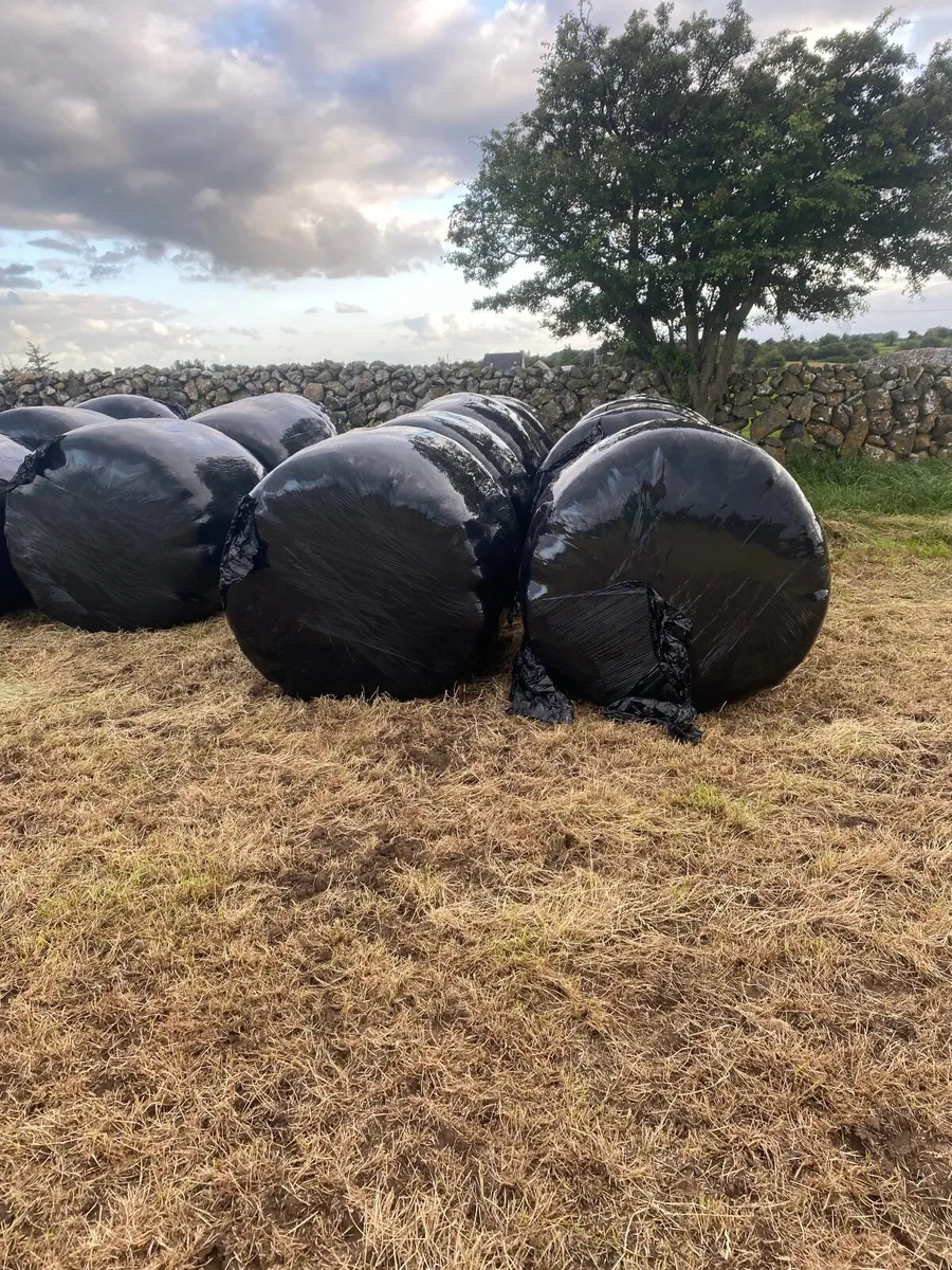 Haylage - Image 1