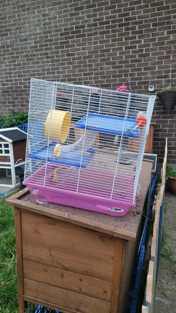 Hamster/ gerbil cage - Image 1