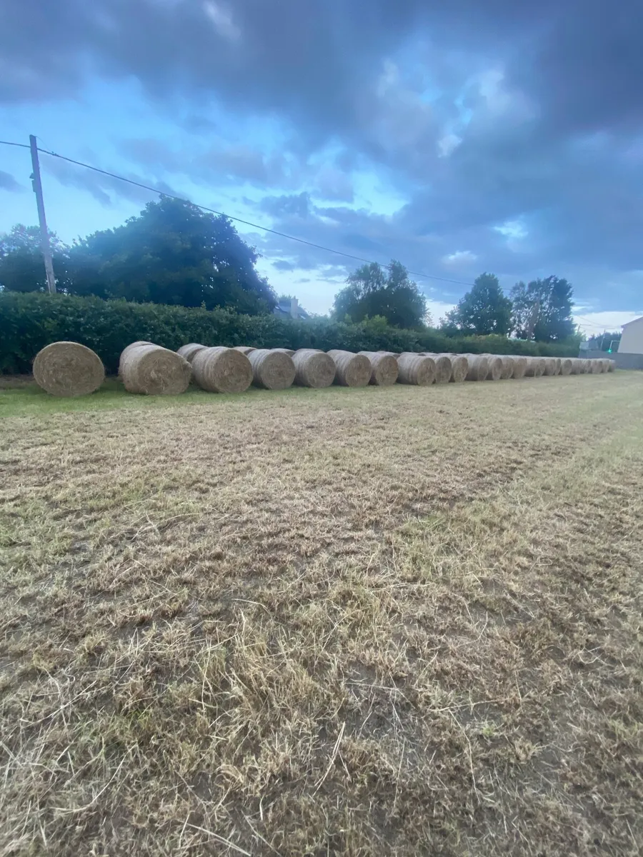 Round bales of hay - Image 2