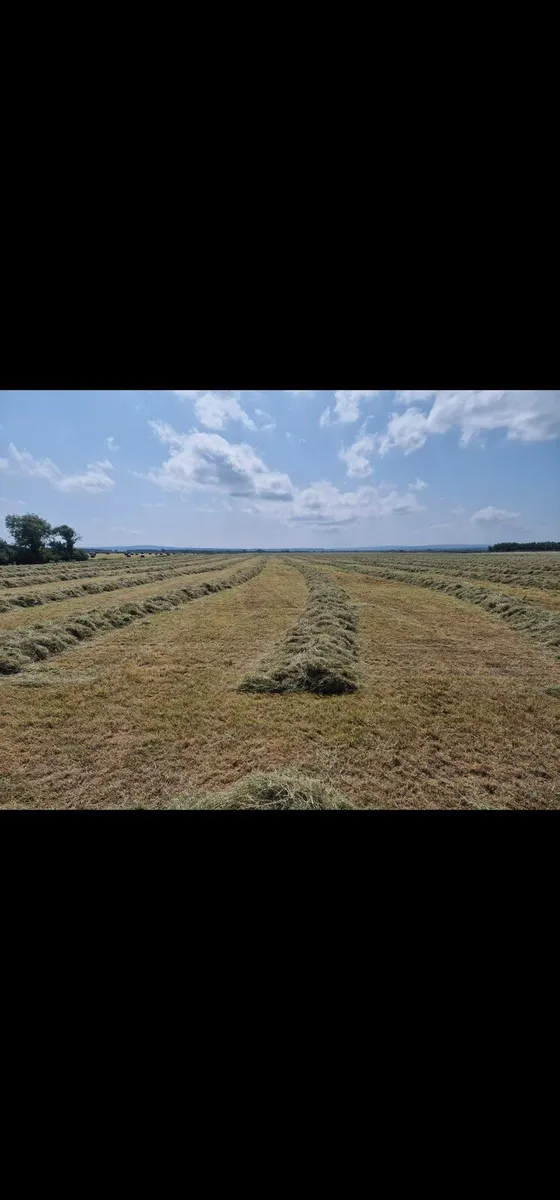 Round Bales - Image 1