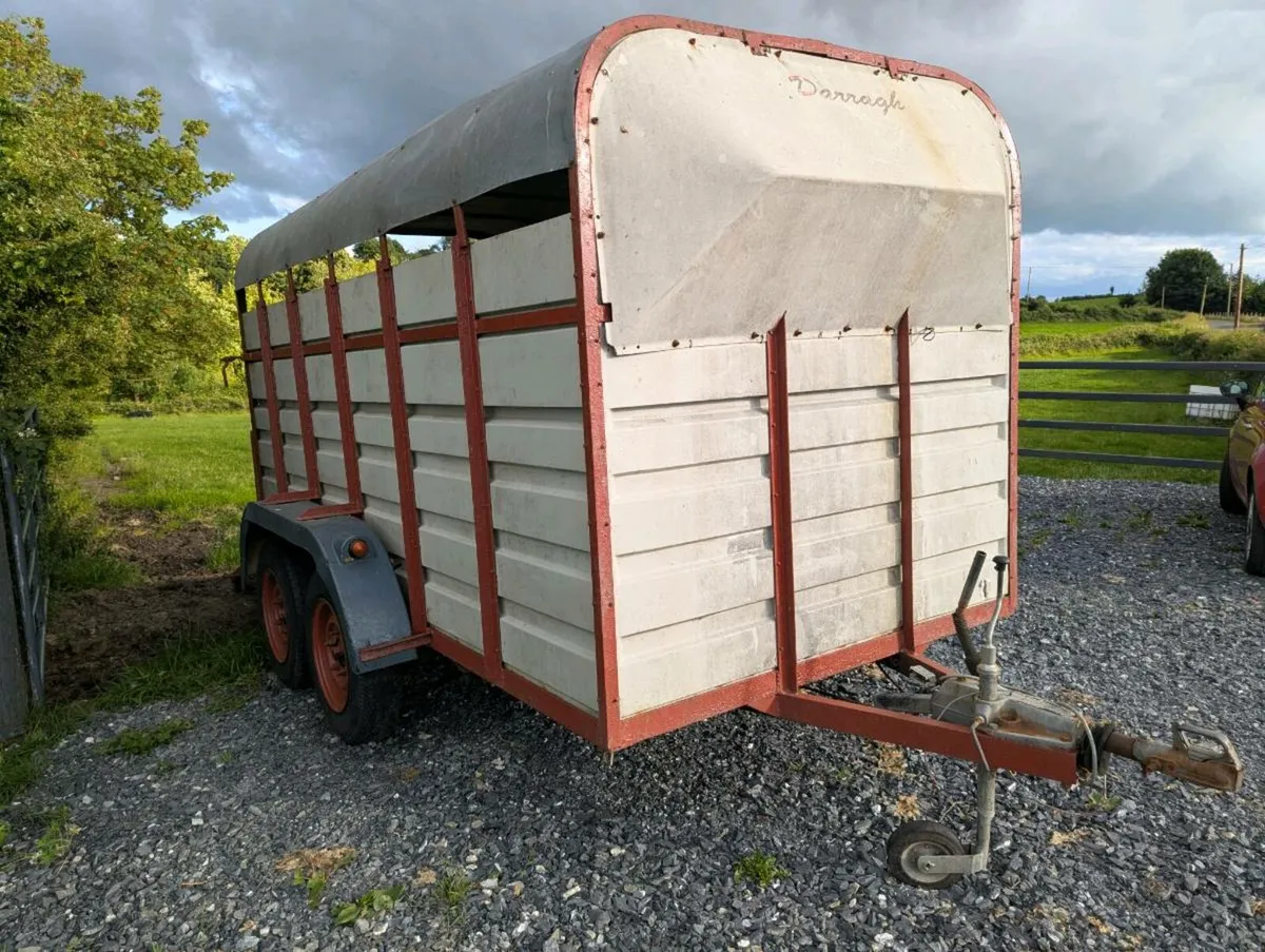Cattle trailer 12ft x 6ft - Image 1