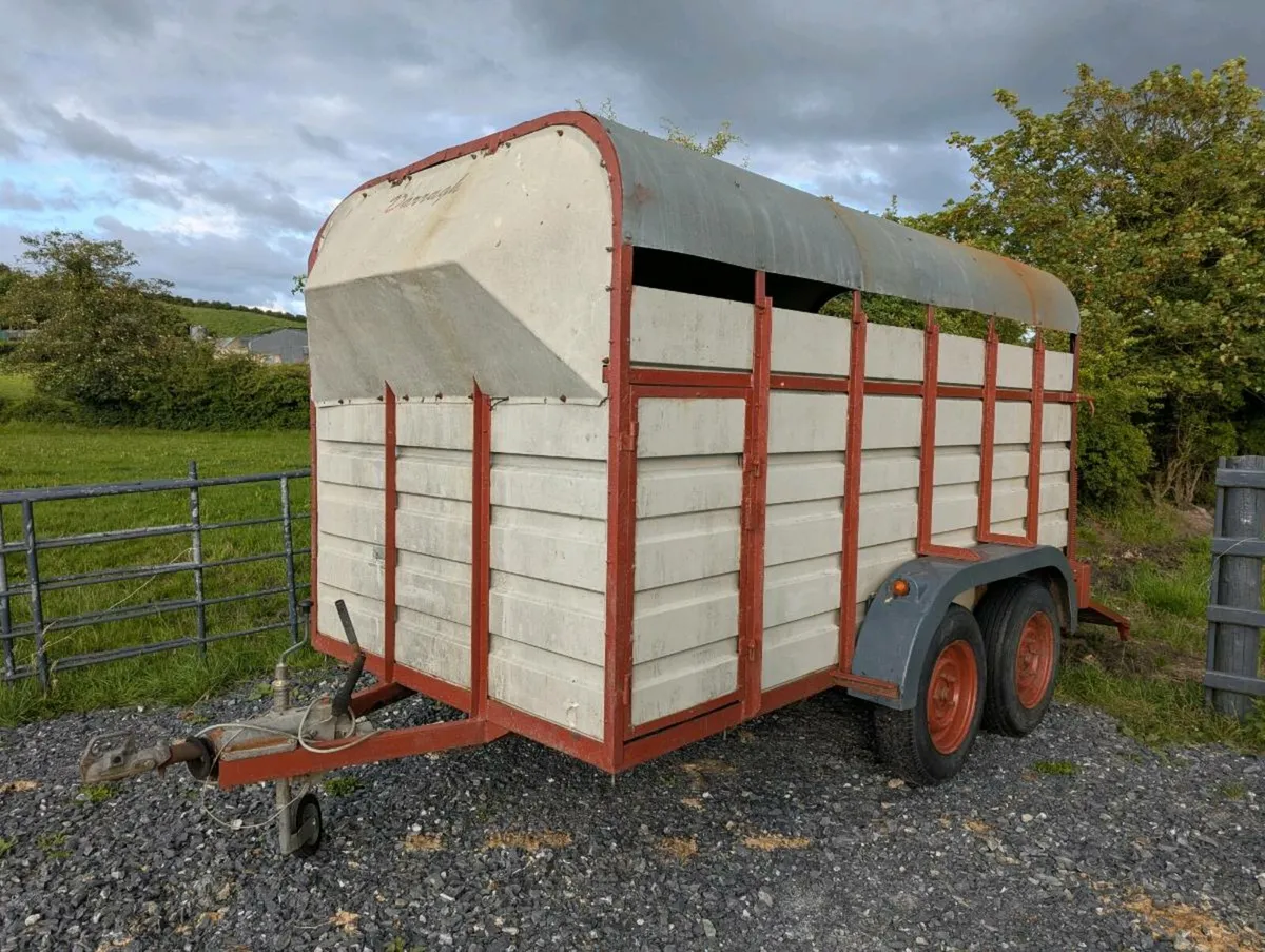 Cattle trailer 12ft x 6ft - Image 3