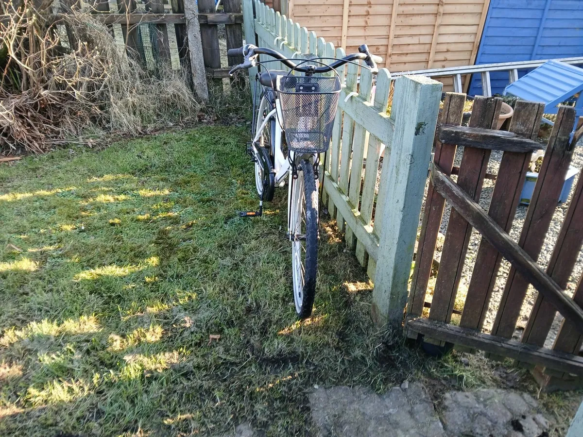 Ladies bike - Image 3