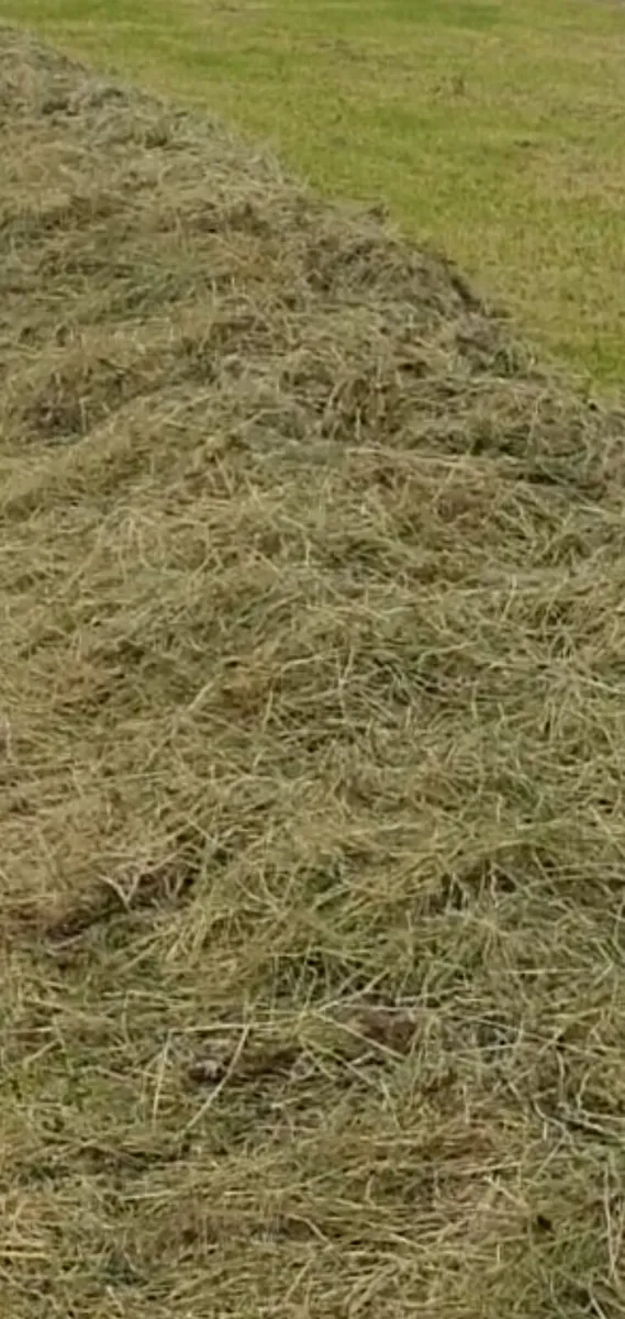 Haylage 2025 - Image 2