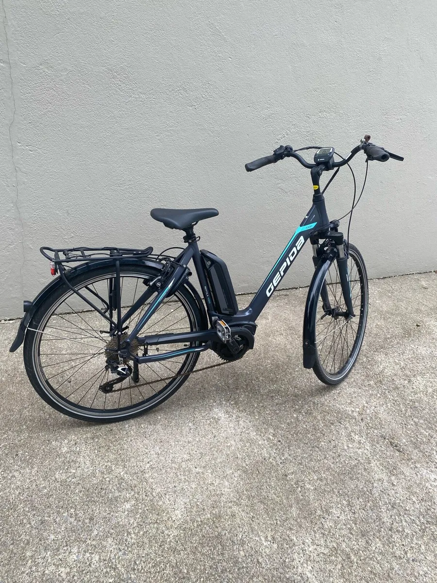 Gepida e-bike - Image 1