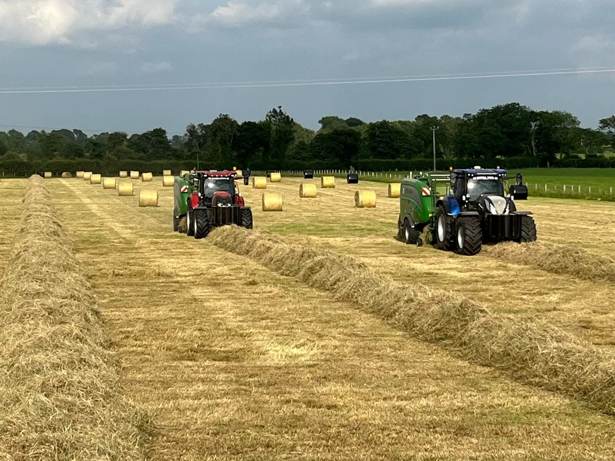 Hay - Image 3