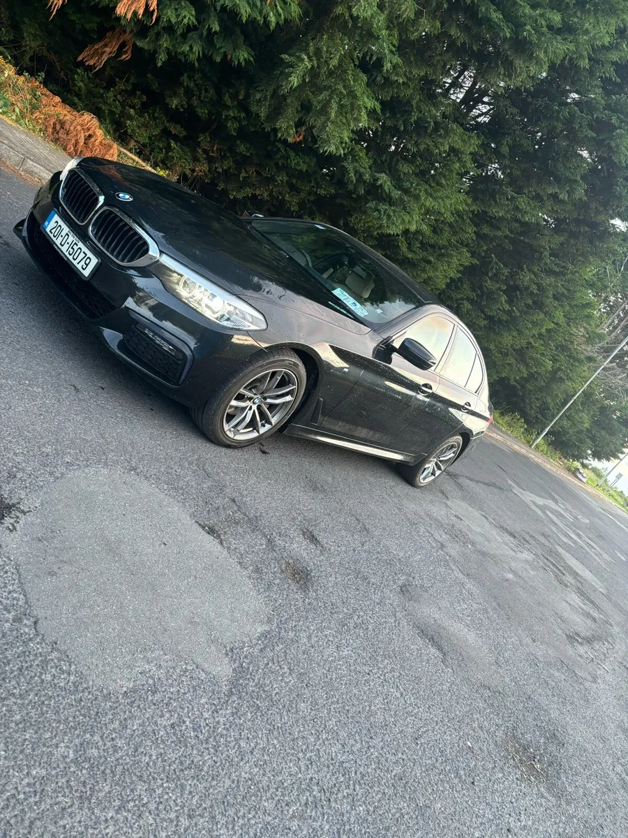 2020 Bmw 520d Msport - Image 3