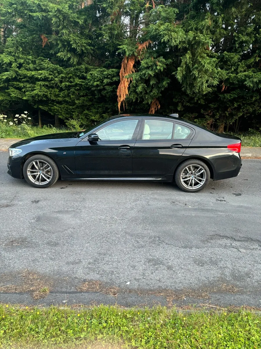 2020 Bmw 520d Msport - Image 4