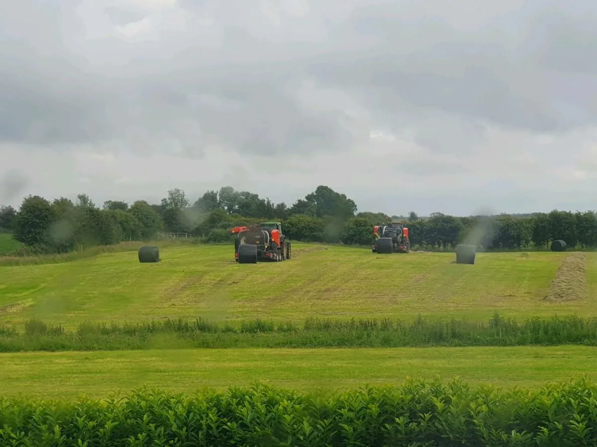 Haylage 2025 - Image 3