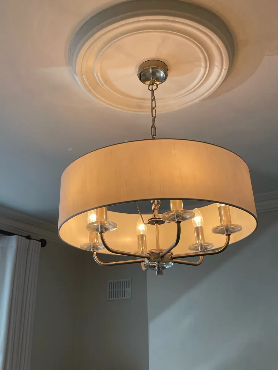 6 light pendant light -silver - Image 1