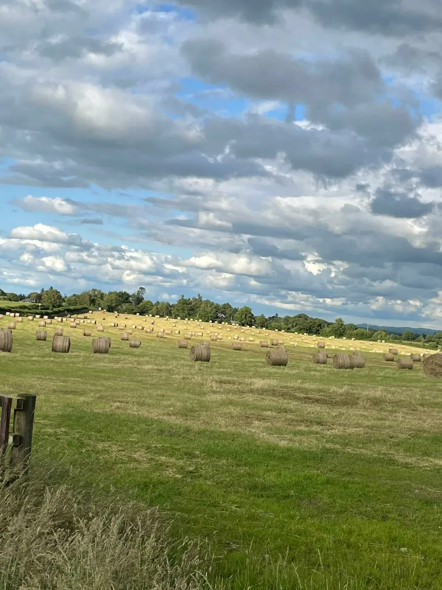 ‼️JUNE HAY 2025‼️ - Image 1