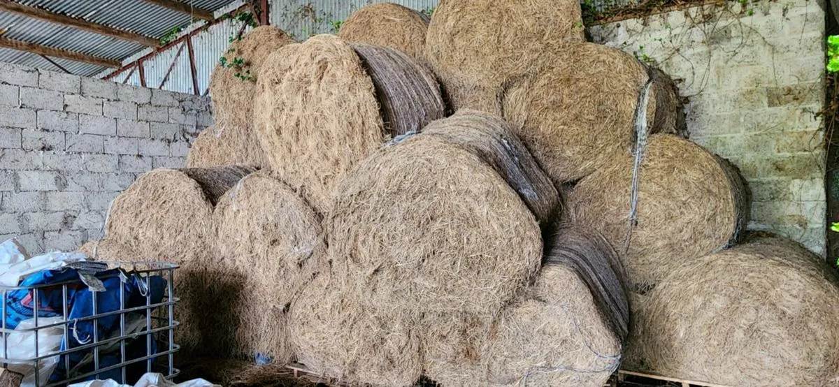 Hay - Image 1