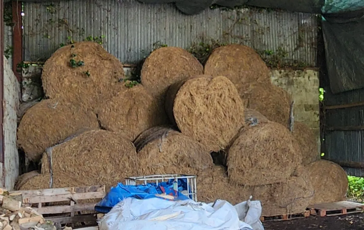 Hay - Image 2