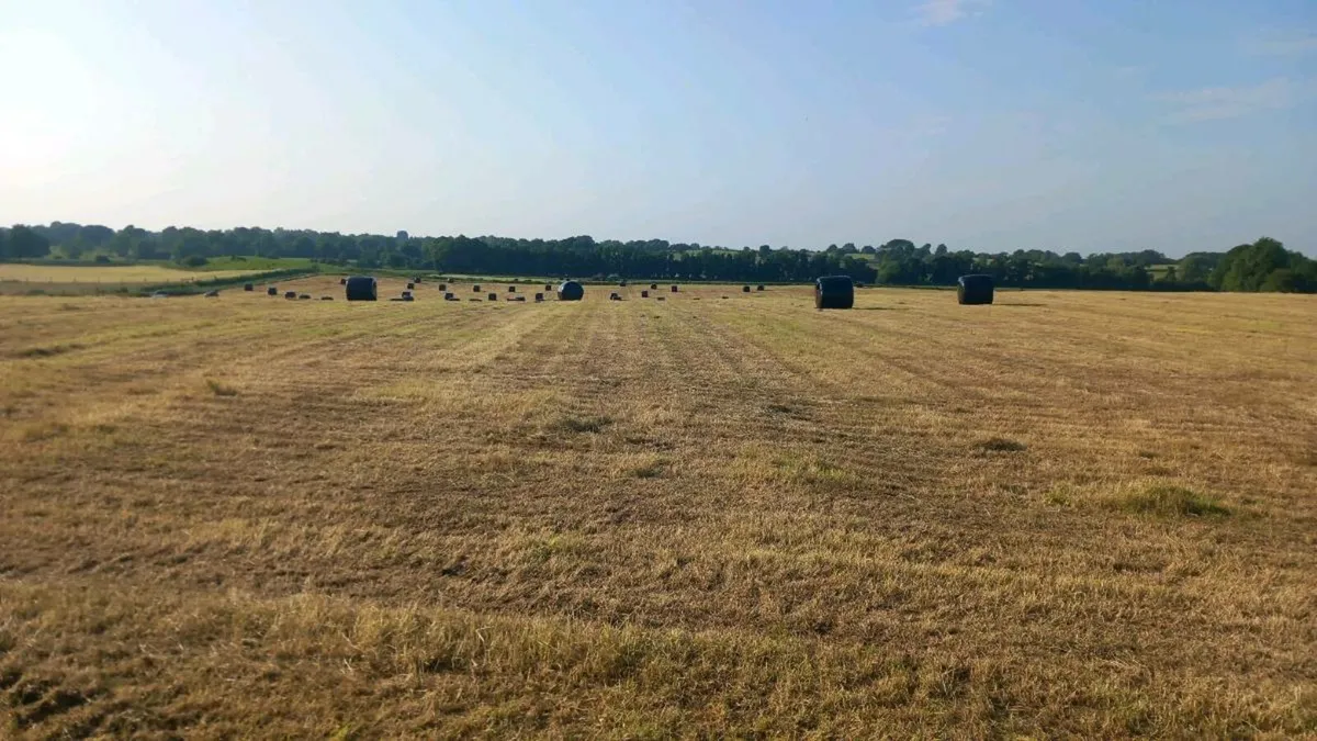 Bales of haylage - Image 2