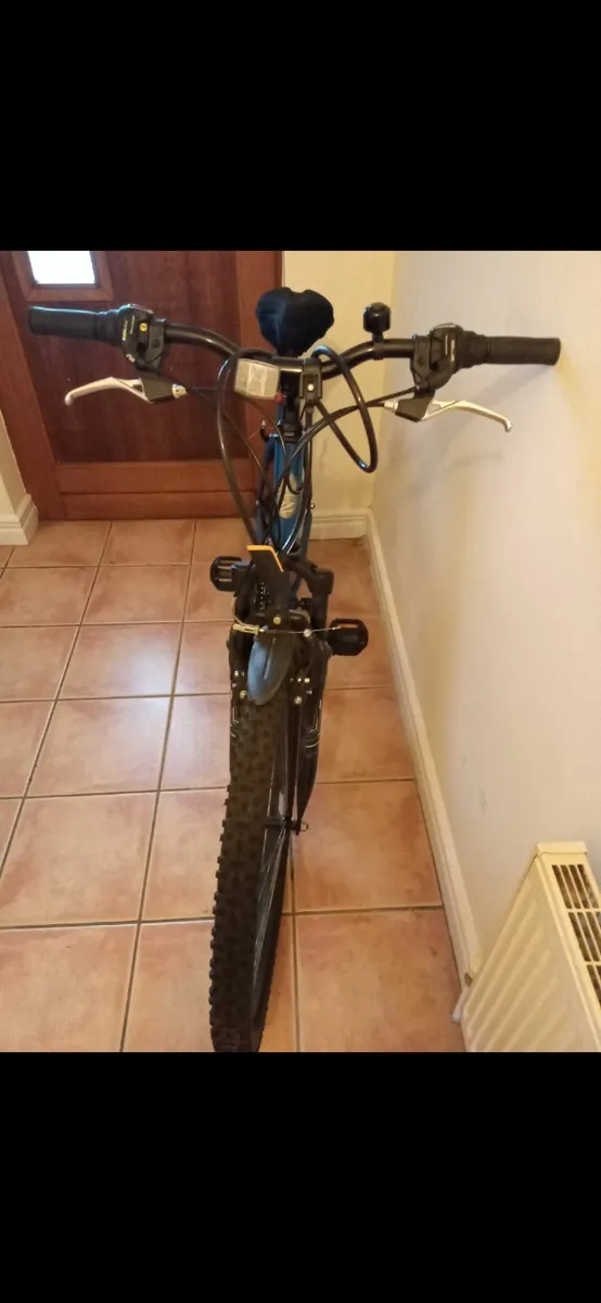 Bike - Image 2