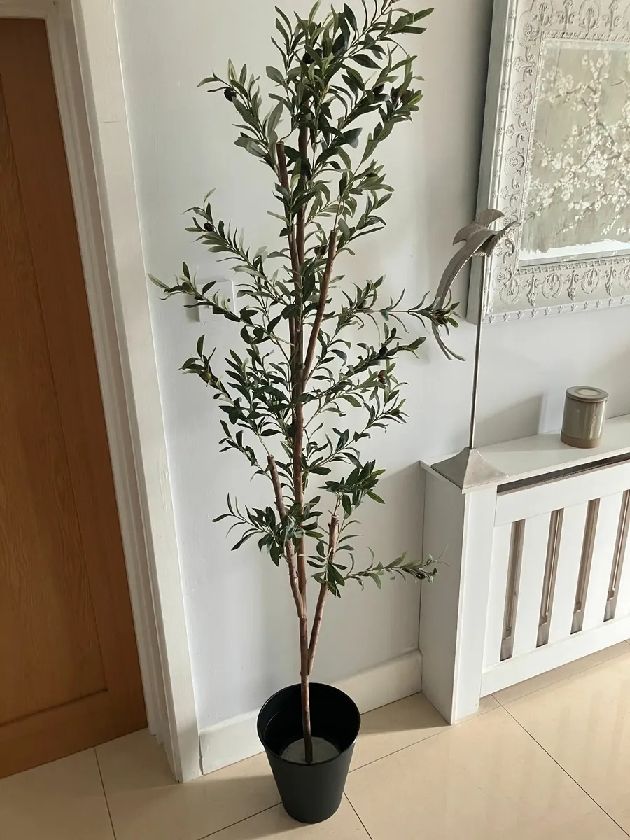 Very Tall Artificial Olive Tree & Pot - Image 1
