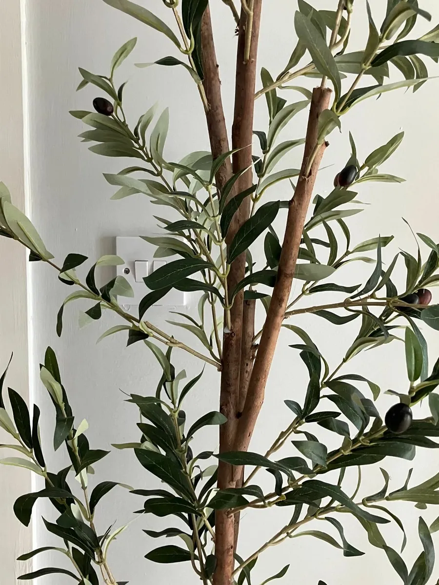 Very Tall Artificial Olive Tree & Pot - Image 2