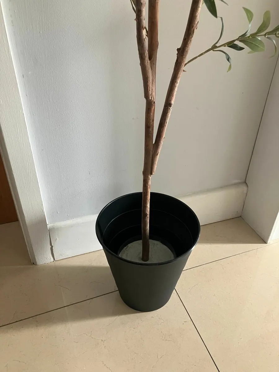 Very Tall Artificial Olive Tree & Pot - Image 3