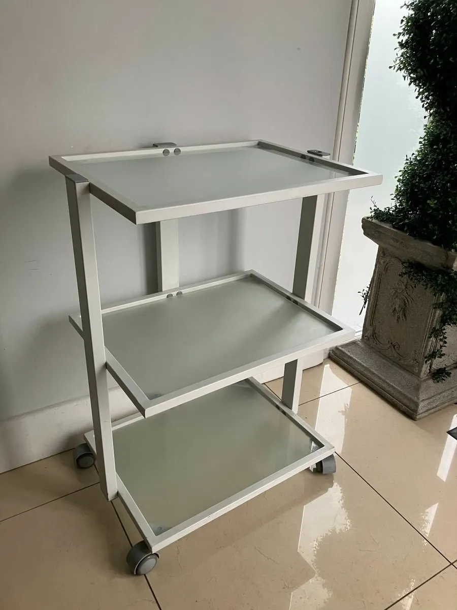 Mobile Shelving Unit on Wheels - Image 1