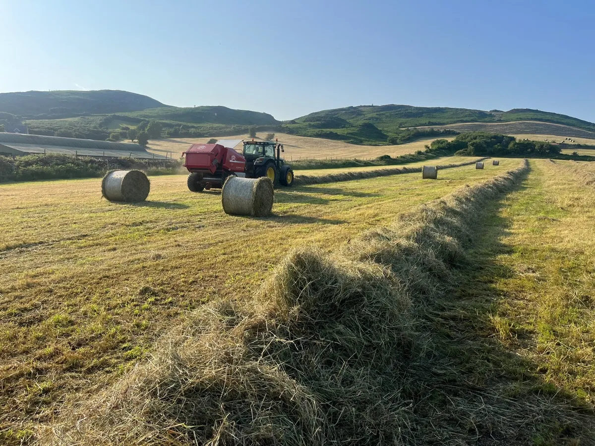 Round bales of hay