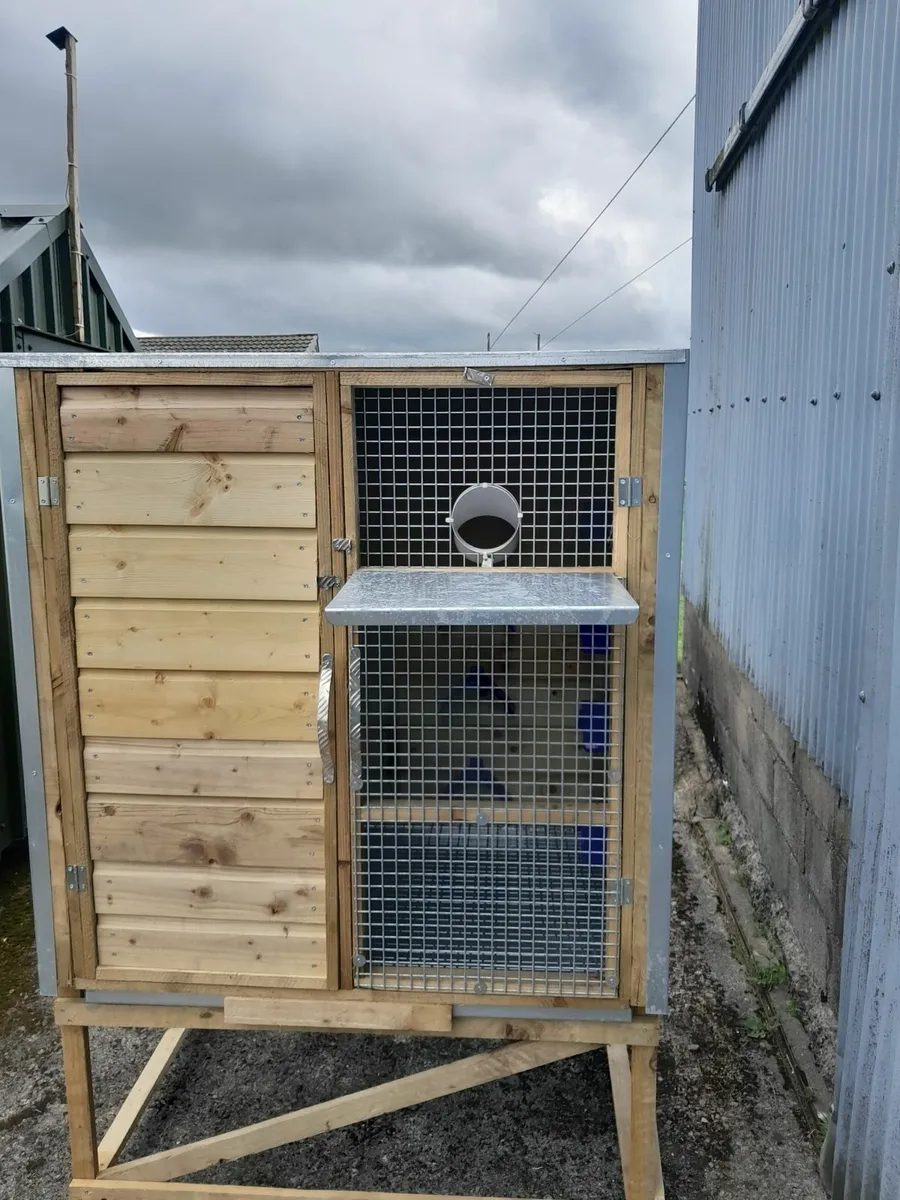 Pigeon kit box/ mini loft - Image 2