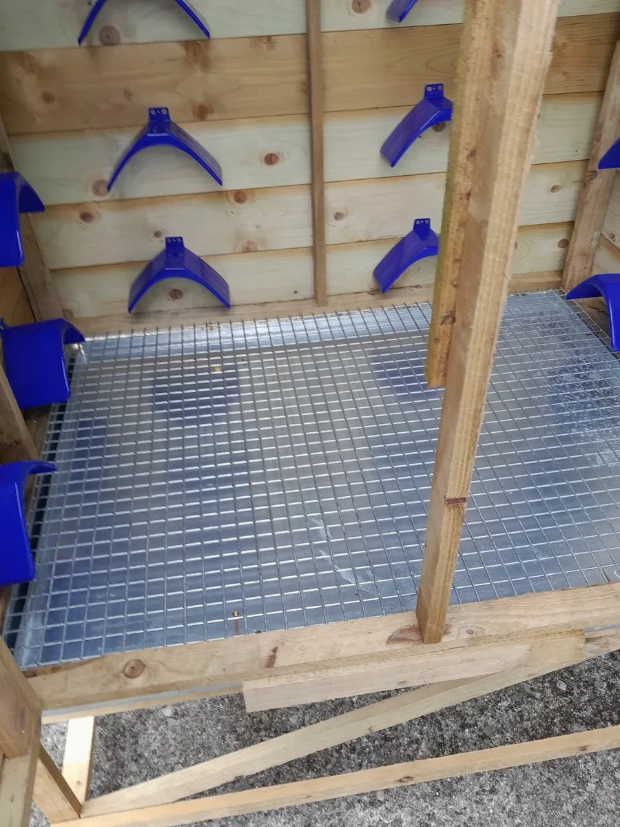Pigeon kit box/ mini loft - Image 3