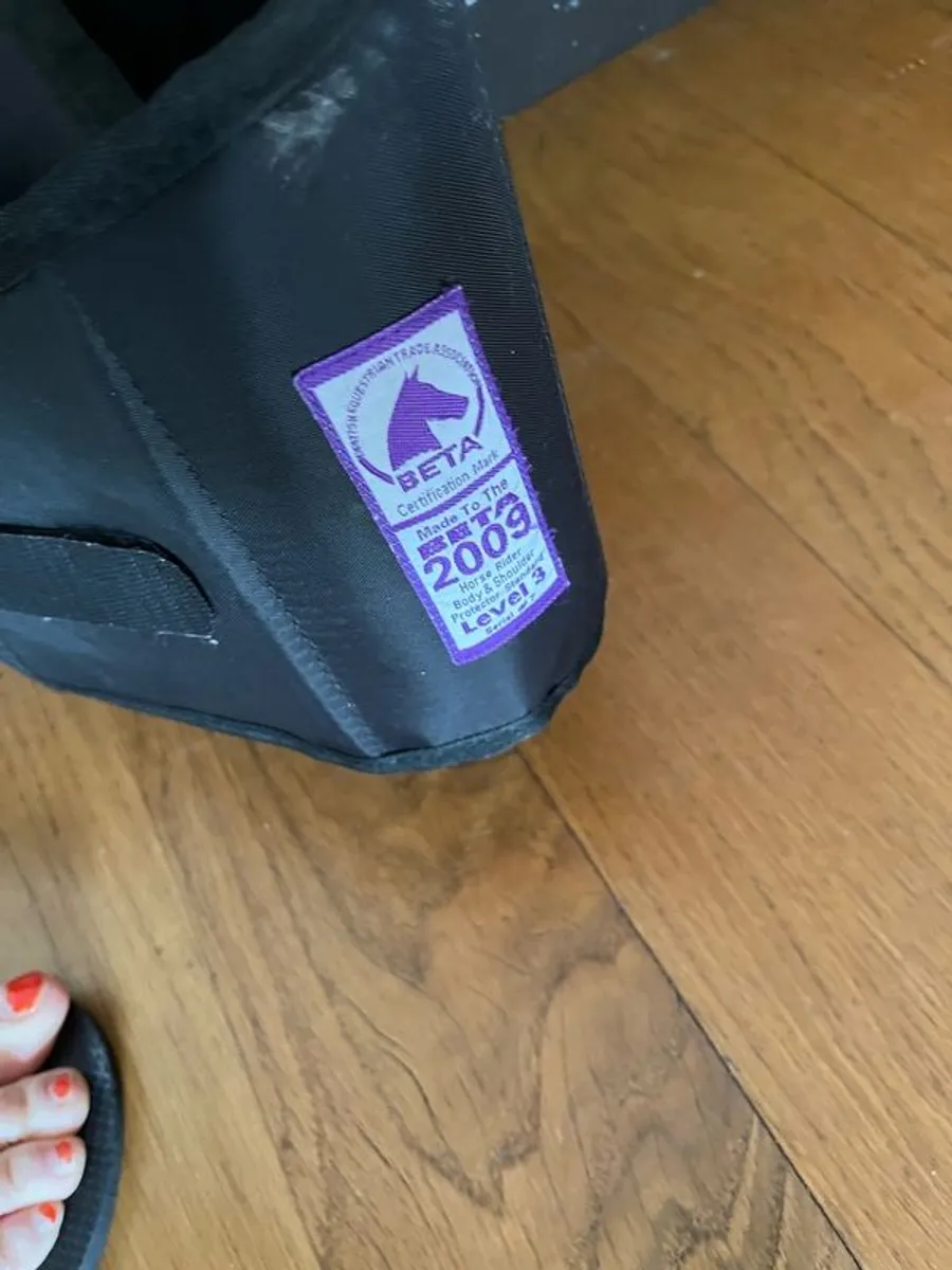 child back protector - Image 2