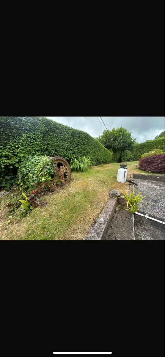 🌿GRASS CUTTING CORK GARDEN MAINTENANCE - Image 3