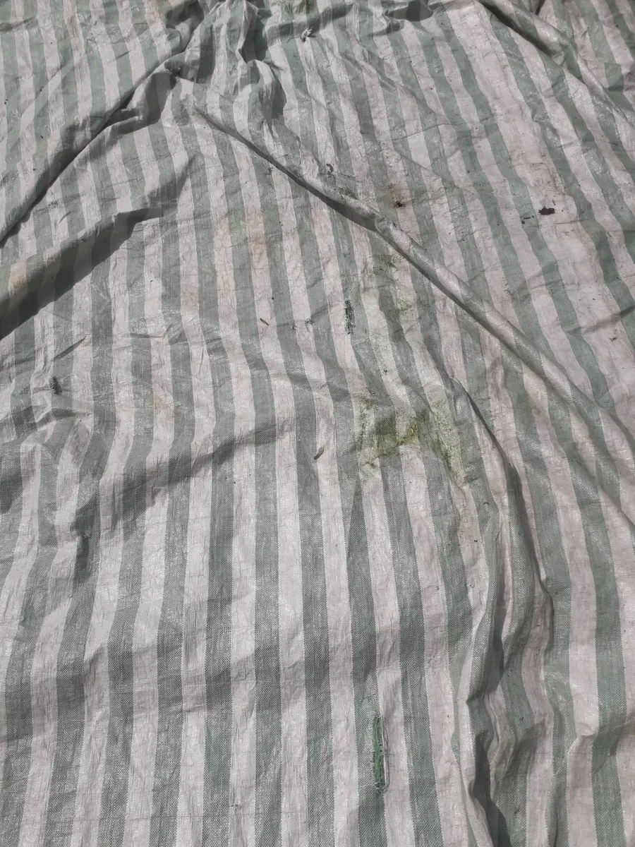 Tarpaulin