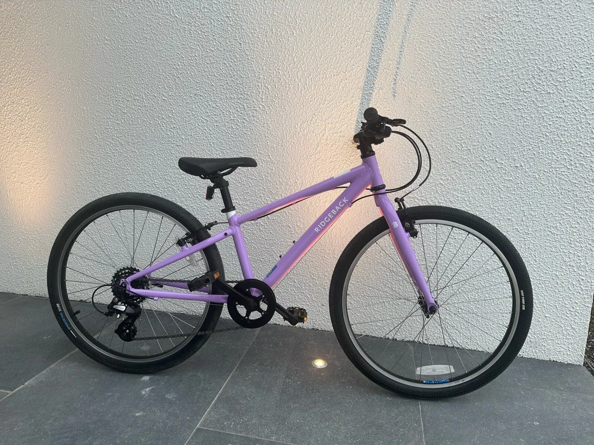 Girls 24” Ridgeback Bike - Image 1
