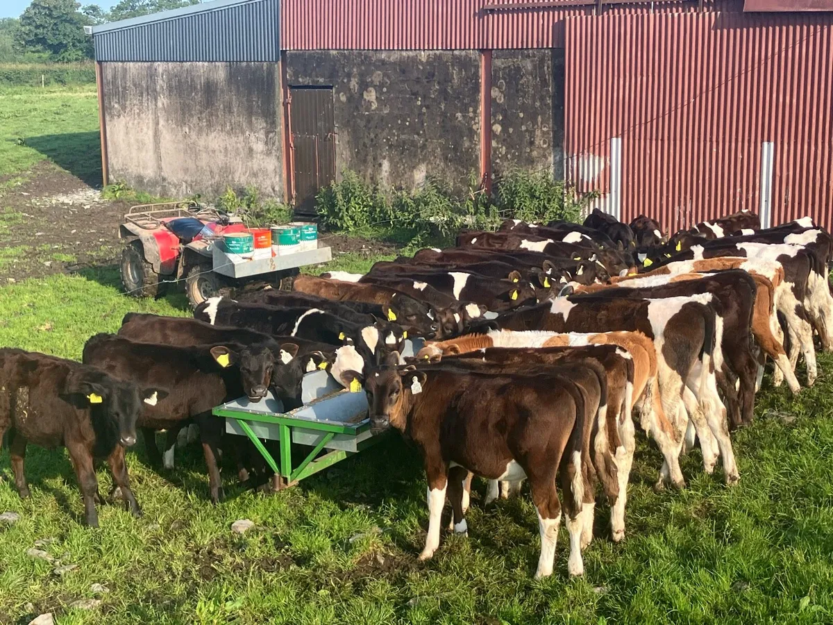 Troughs - Image 1