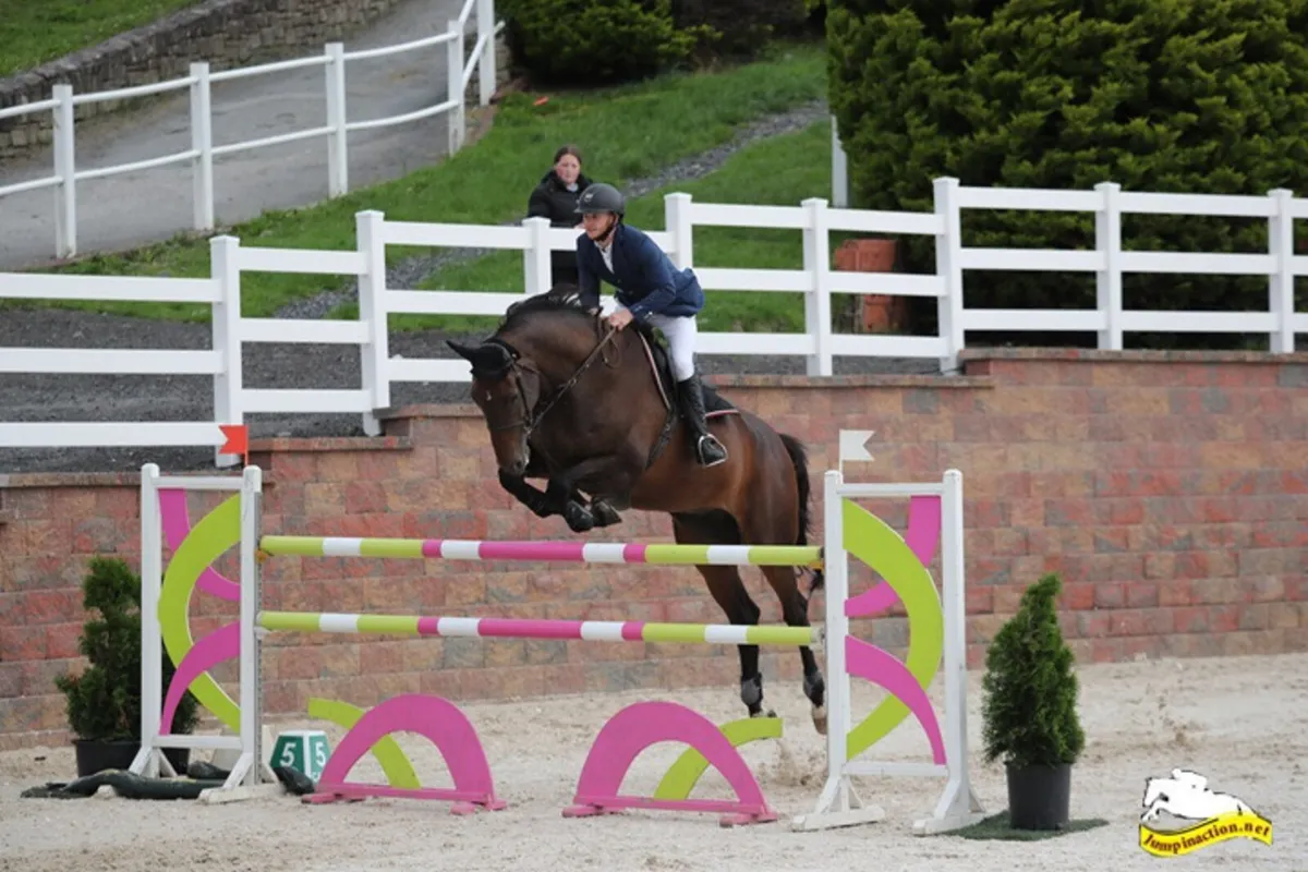 Lot 220 Goresbridge 2nd July - Image 2